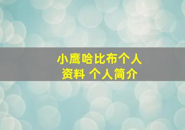 小鹰哈比布个人资料 个人简介